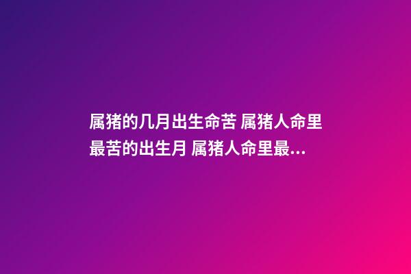 属猪的几月出生命苦 属猪人命里最苦的出生月 属猪人命里最苦是几月 属猪几月出生命苦-第1张-观点-玄机派